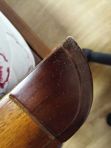 家具上突然出现了很多白色小虫,针尖大小,这是什么虫 怎样防治