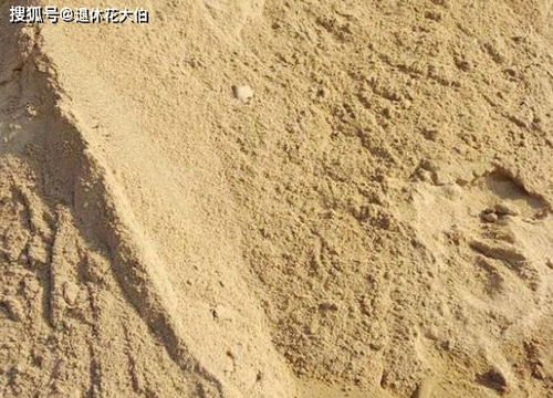 养花配土篇 园土 煤渣 泥炭土等等,该怎么用好