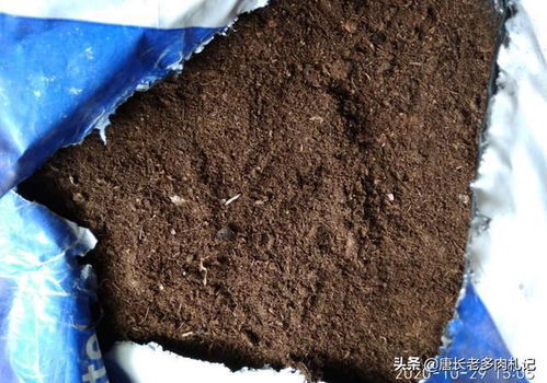草炭土和泥炭土你分得清吗 知不知道哪种更适合用来养多肉植物