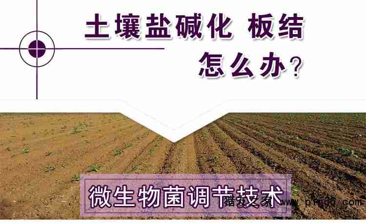 土地板结调节土壤用的土壤改良剂哪里有卖的