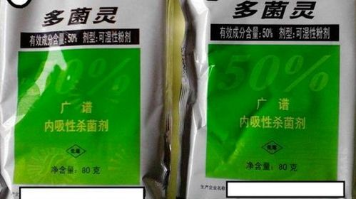多菌灵土壤消毒 效果怎样 