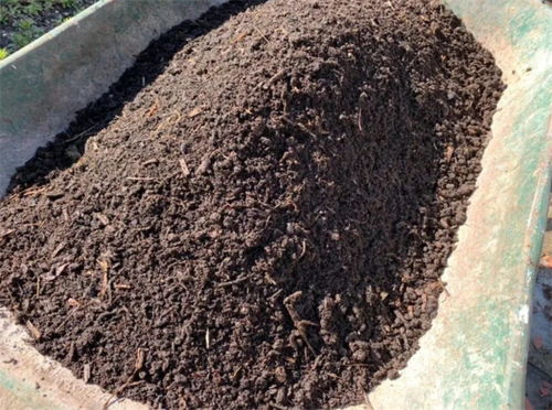 花土怎么杀菌消毒 3个简单至极的方法,往往最有效实用