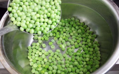 豌豆好吃但不好保存,菜农教您土方法,放久也不干瘪,嫩滑还好吃