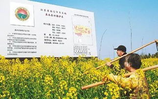 在自己家的承包地里种植果树,违法吗