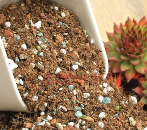 种植营养土