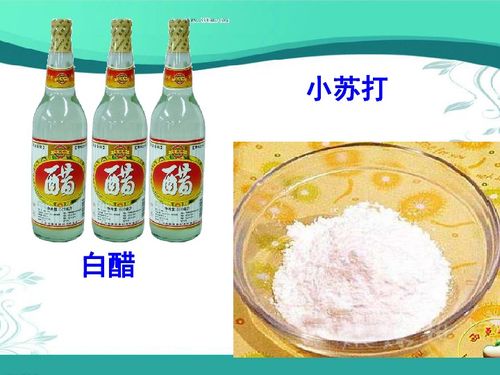 科教版科学六年级下册2.4小苏打和白醋的变化 24张ppt