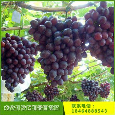 价格 厂家 中国供应商