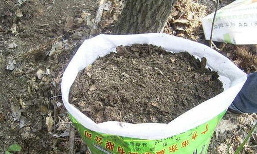 种花土别太随便了 对 4种基质 说不,花草方能越长越旺盛