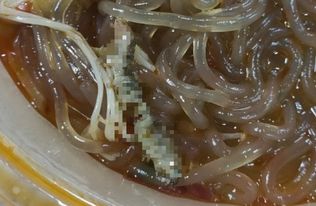 点外卖吃出大肉虫 饿了么该几倍赔偿