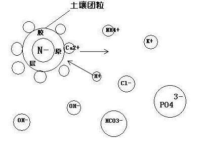 土壤酸化是病,得治