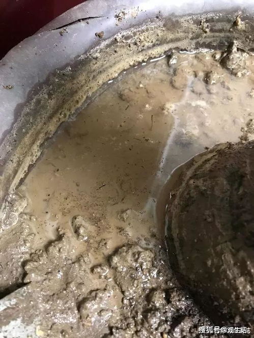 盆土板结发硬总烂根,5个小窍门,板结土变松土,根壮好越冬 土壤