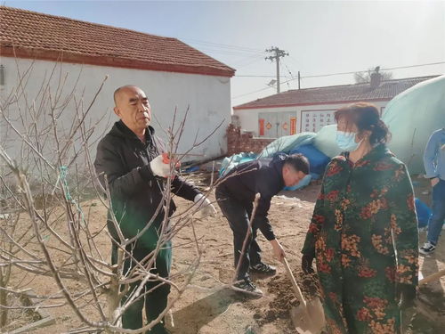 果树春管正当时 专业技术来助力