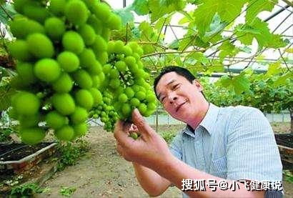葡萄皮上的白霜是什么 洗干净后才能吃 营养师告诉你答案