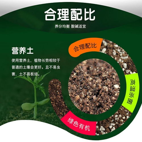 种花营养土批发_花肥营养土批发