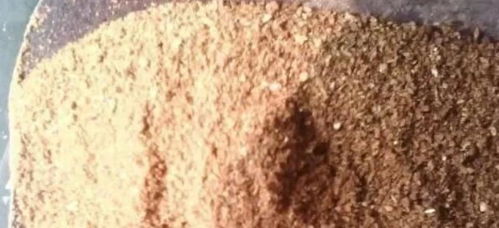 养花不买营养土,回家找4种料掺一掺,养啥花都旺爆盆