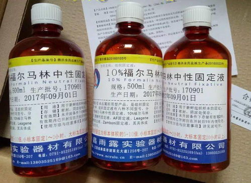 花卉养护中场地和土壤消毒方法