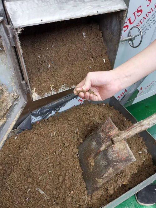 餐厨垃圾渣专用微生物发酵处理有机肥生物菌菌种使用方法