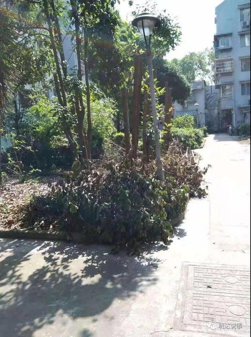 注意了 小区业主这一行为涉嫌违法