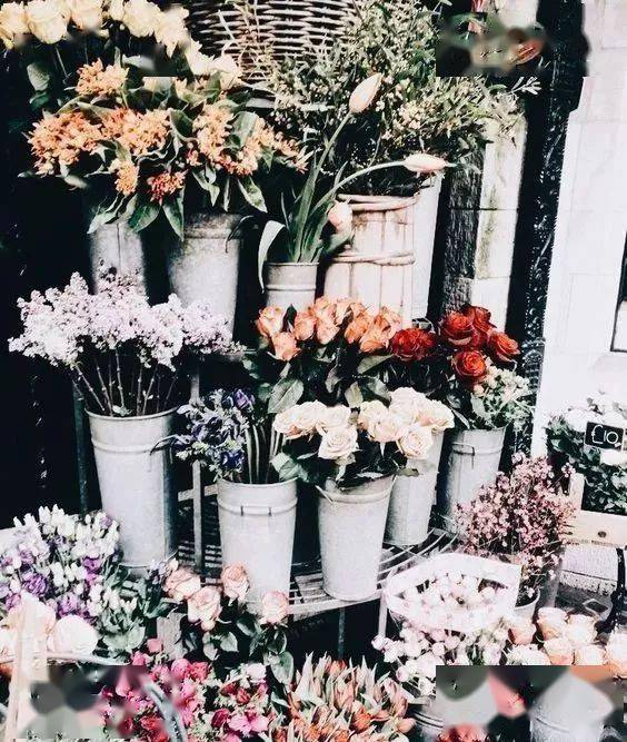 冬季花店必备,送你一份花材 保养 秘籍