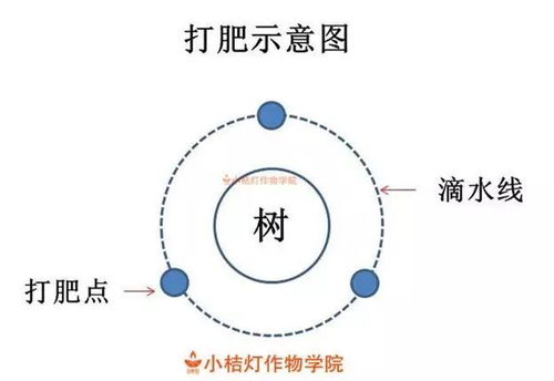 土壤板结情况肥料该怎么施 好方案在这里