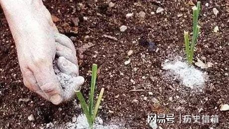 自制有机肥料的8种方法,用到的都是生活中的废弃物