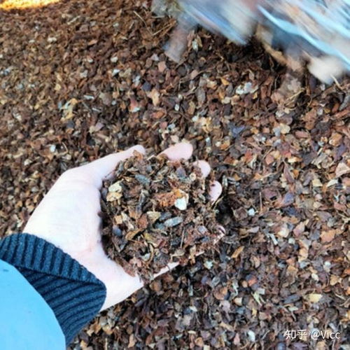 泥炭 椰砖 营养土 颗粒土 黑土等常见种植基质比较