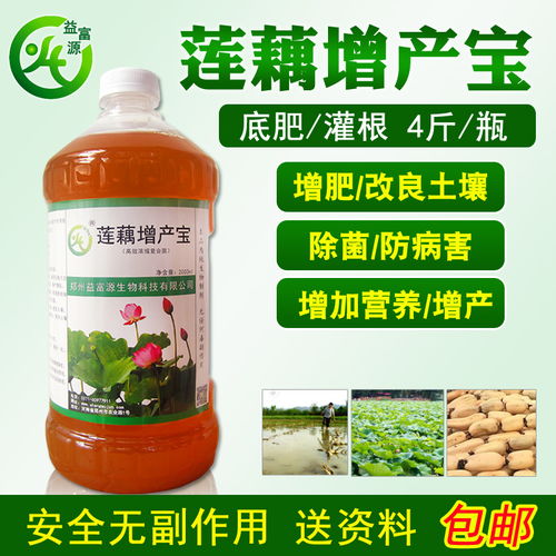 莲藕麻点病症状和解决方法