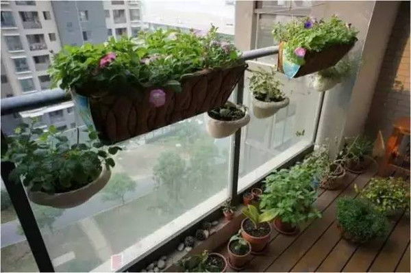 挺住啊 深圳一下子有5 6个台风要来 