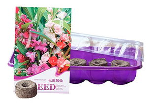 嗨绿 育苗盘穴盘营养钵阳台种菜盆种植袋育苗盒杯含10个育苗块 紫色套装凤仙花 供应商直送