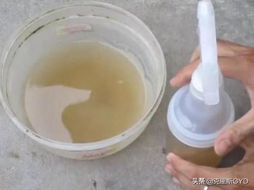自制万能杀虫水 如何自制除虫水