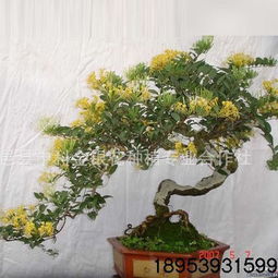 工艺品招财进宝报价 厂家