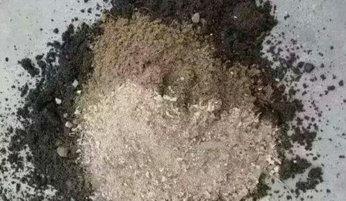 新鲜锯末可以直接放入土壤里吗_用锯末和土掺在