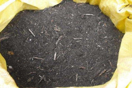 养花不用买土买肥,用这招儿,盆土肥沃 十年不板结,花儿猛开 肥料