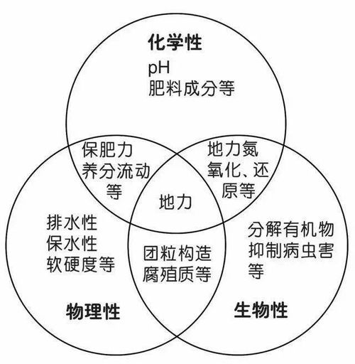 地力与优质土壤