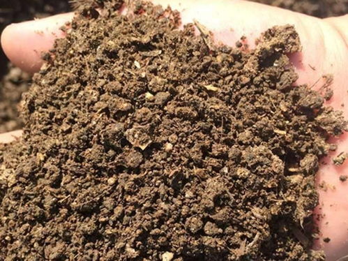 老话 牛粪当了家,种啥都白搭,羊粪当了家,两季都不瞎 啥意思 涨知识了