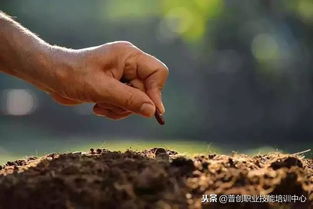 没有有机质就没有肥力 土壤有机质的七大作用