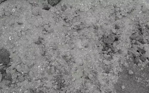 在河蟹主产区每个县抽取4000 6000个土样,检测结果显示 蟹田有机肥含量严重不足 那该怎么种草