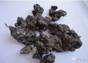 这些养花好东西,回趟农村就备齐了,不花一分钱