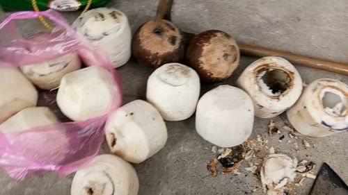 家里的垃圾别丢掉,拿来种多肉,省下一大笔钱
