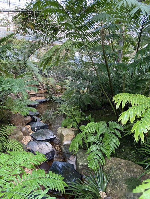 园林植物十月份养护要点
