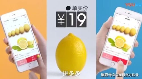 我薅了10年羊毛,却栽在拼多多手里