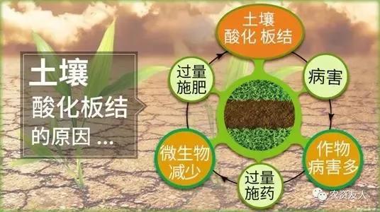 施了肥没效果,原因何在,如何破解