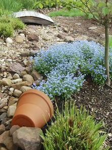花盆一浇水立马流出来、花盆里的花一浇水就漏