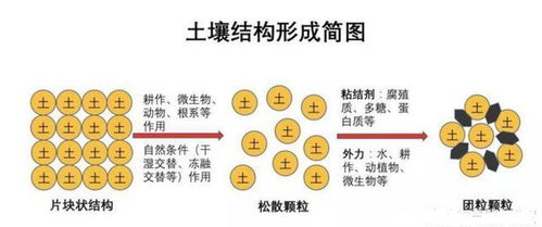 冬季也别闲着 来给果园做一次全面的土壤保养吧