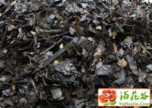 最快制作腐叶土的方法;腐叶土制作过程