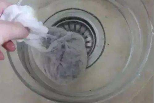 柠檬 荔枝 菠萝 只要小小的一部分,你在家里也能种出来