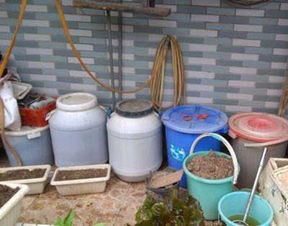 养花肥料难找 我教你用厨余沤肥,发酵快无臭味