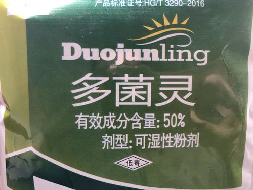 上盆前先消毒土壤,病虫害能减少一大半,这2种消毒方法最常用
