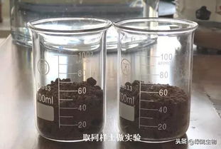 改良土壤快用土壤改良剂 松土精