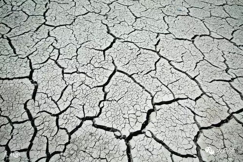 种地如何才能区分土壤的肥力,种了这么多年地,这些技巧你会吗